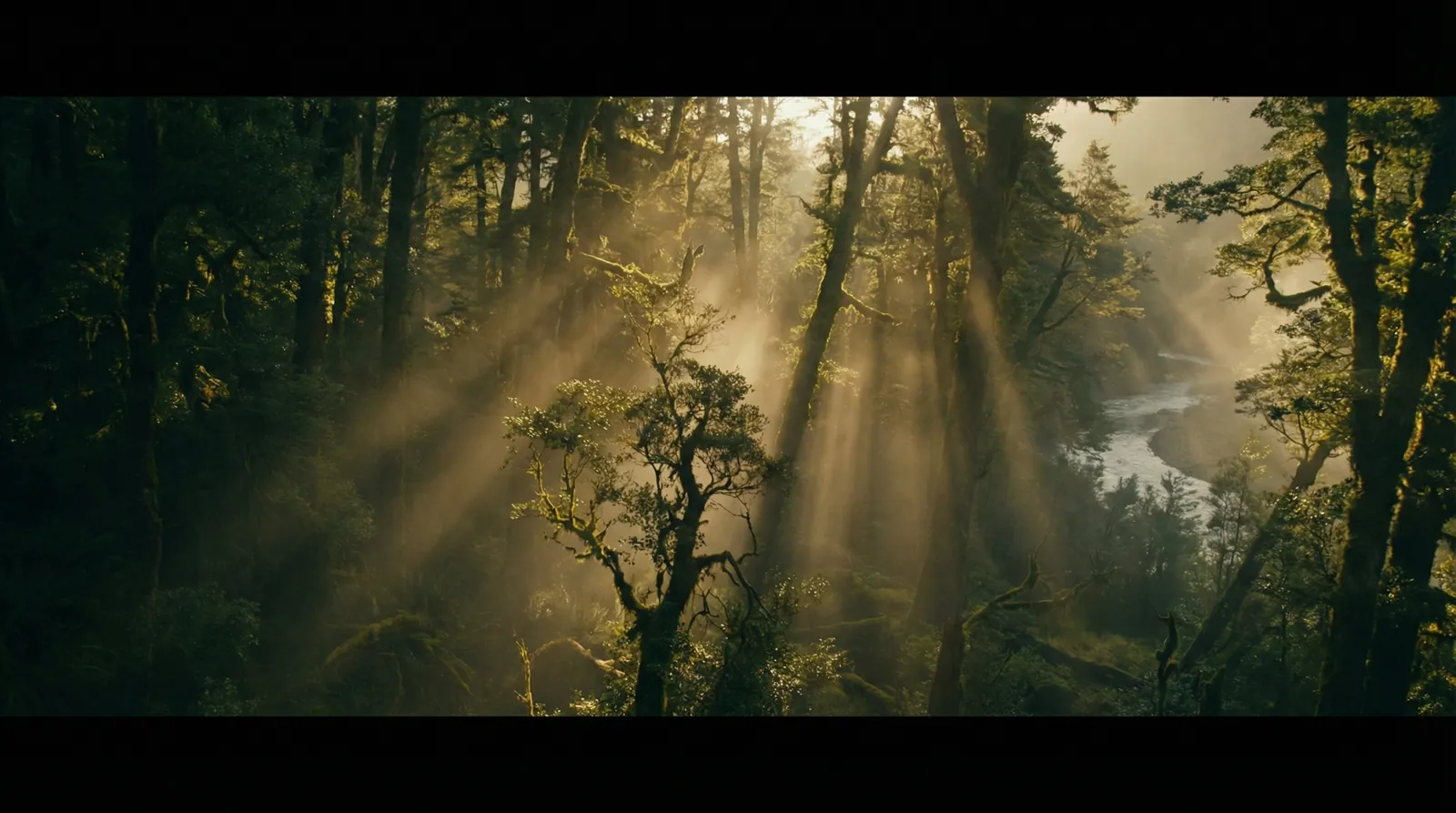 宝威体育平台 自然纪录片风格调色案例